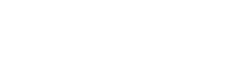 Toftegaard Group